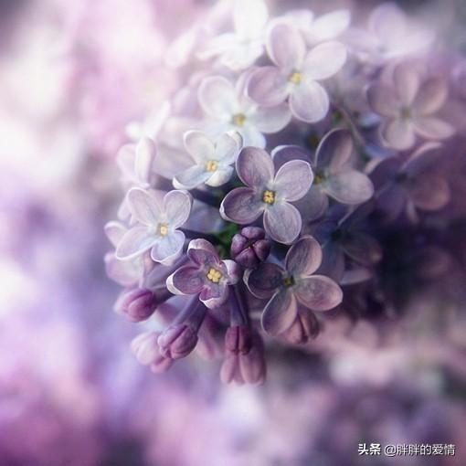 简短的人生哲理句子（简短的人生哲理句子大全）