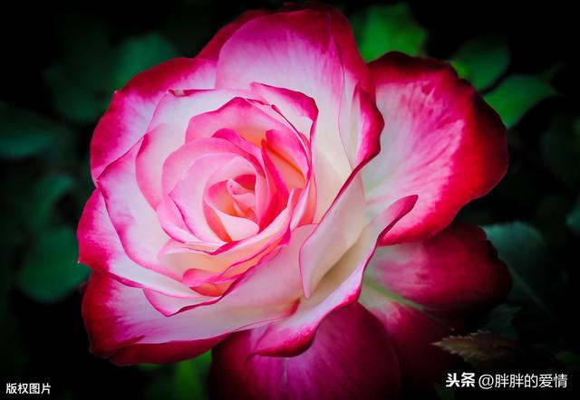 人生哲理的句子经典（人生哲理的句子经典早安）