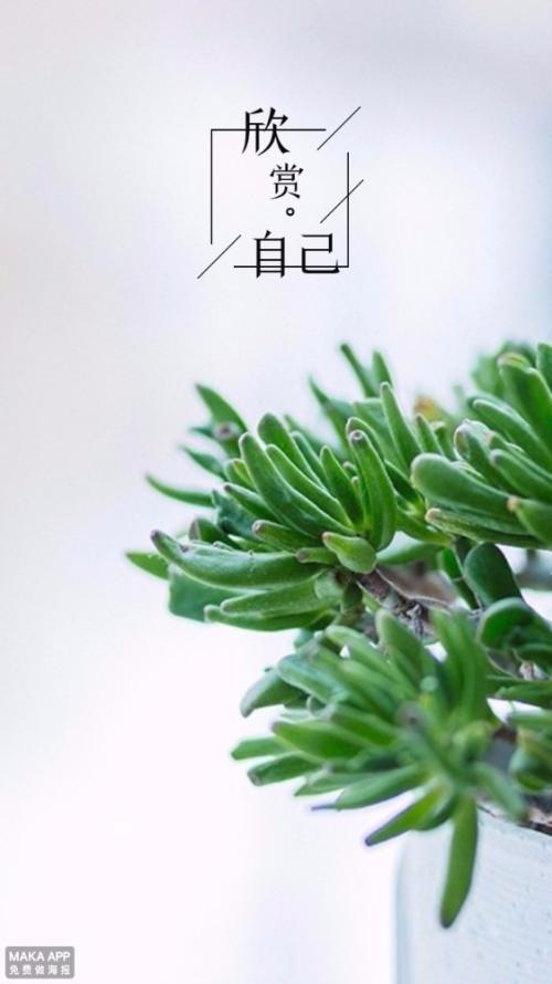 人生励志文章（励志文章感悟人生）