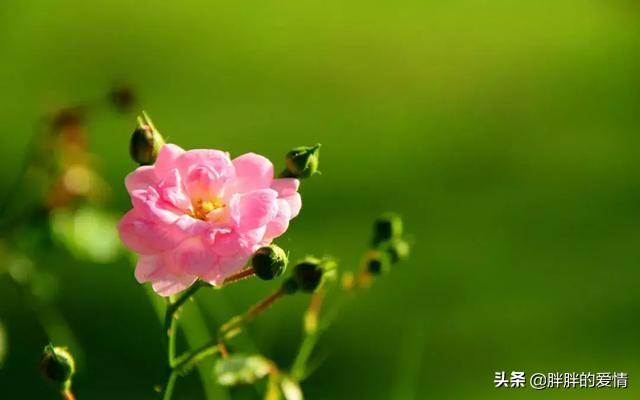 人生感悟经典哲理名言名句（人生感悟经典哲理名言名句短句）