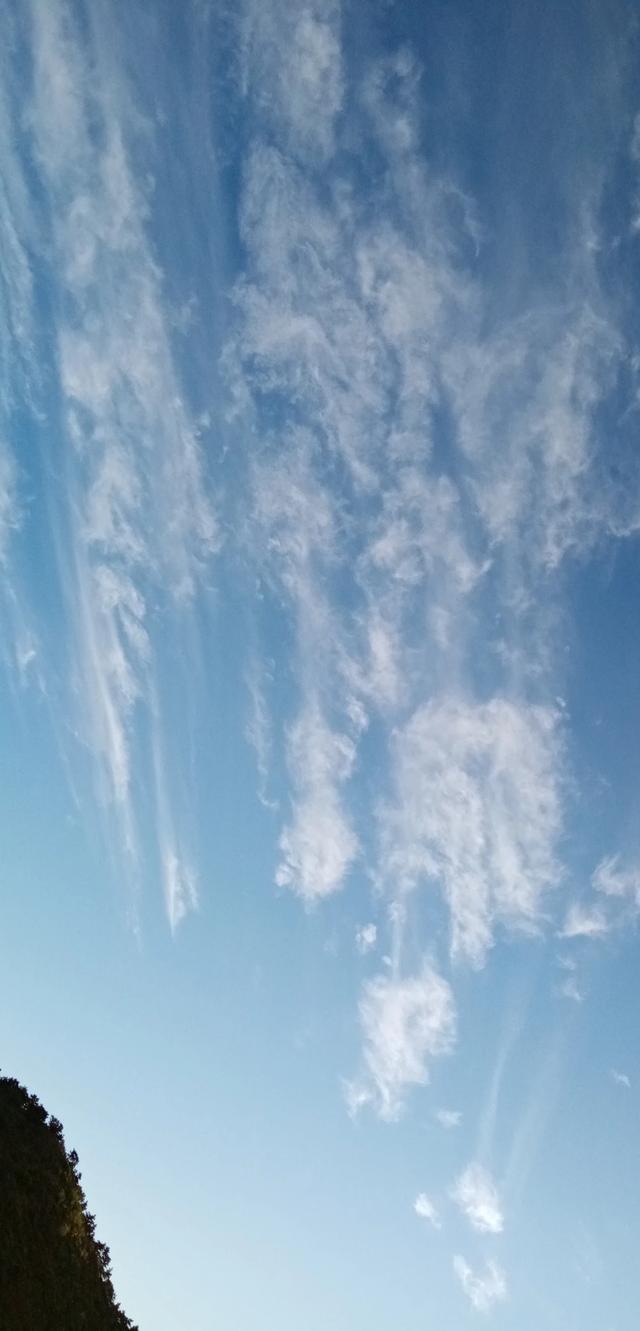 为了梦想而奋斗的诗句（励志的古诗词）