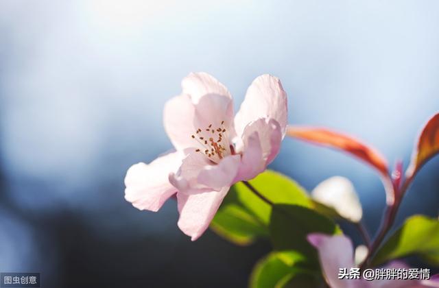 世界名言名句大全人生哲理（世界名言名句大全集）