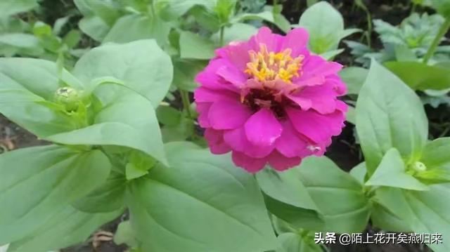 改变心态的最好方法（改变心态的最好方法句子）
