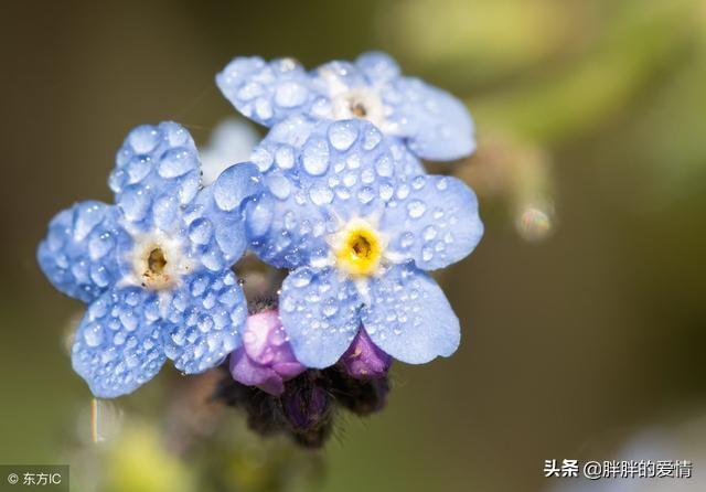 充满阳光正能量的图片（高考充满阳光正能量的图片）