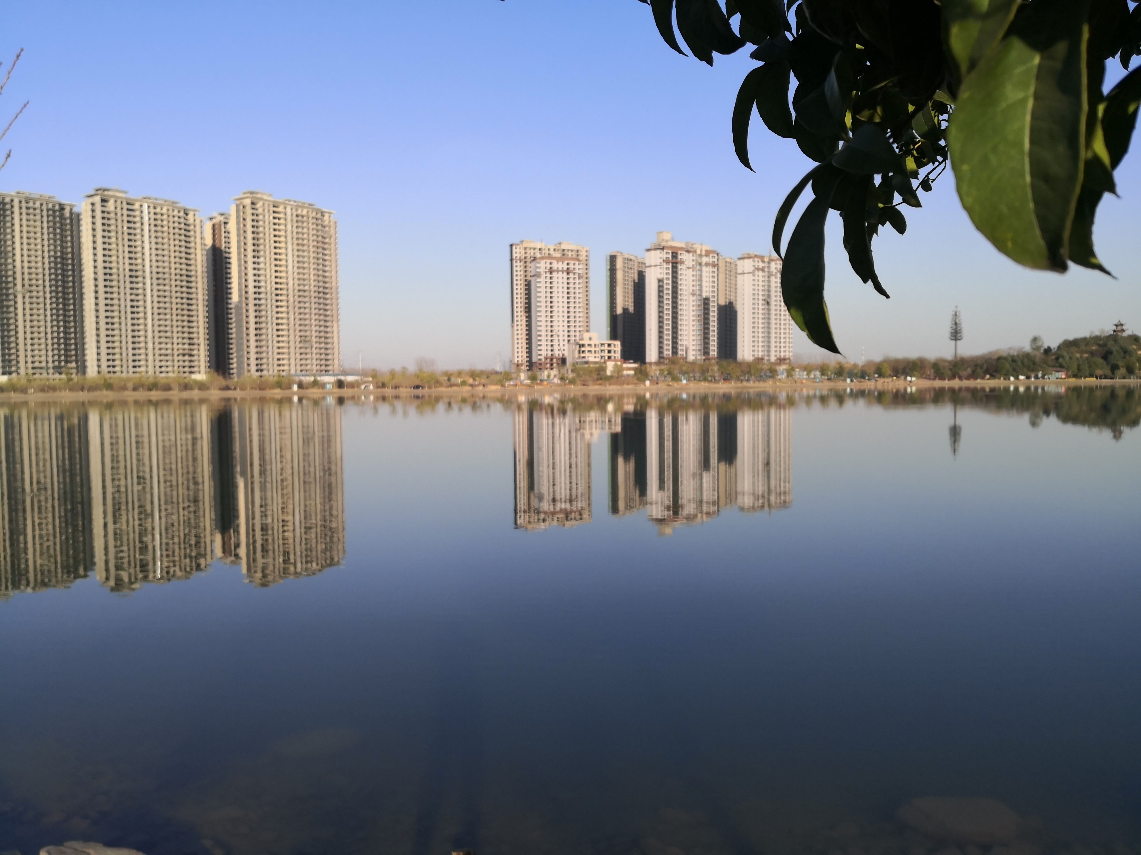 每天一个心灵感悟（每天一个心灵感悟文章）