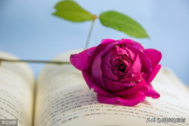 早晨充满正能量的句子（早晨充满正能量的句子图片）