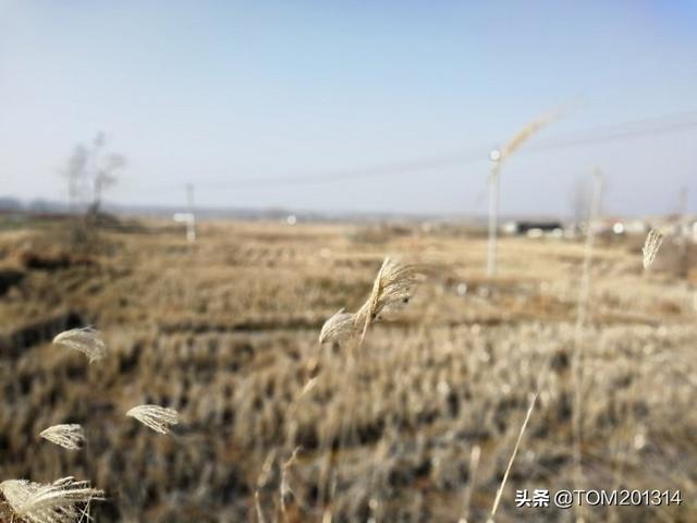 放下一段感情最狠的办法（放下一段感情最狠的办法是删除吗）