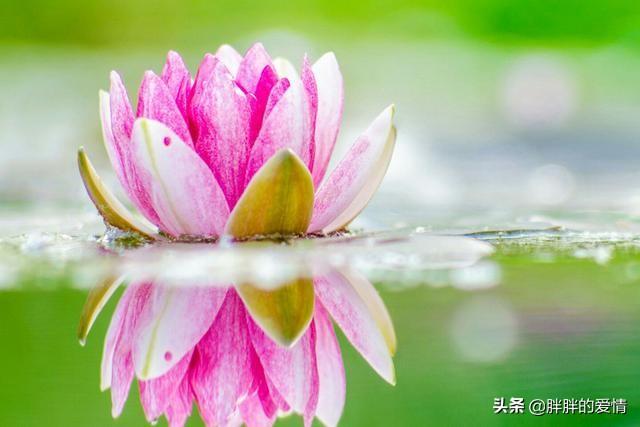 经典句子人生哲理（人生经典哲理句子大全2021）