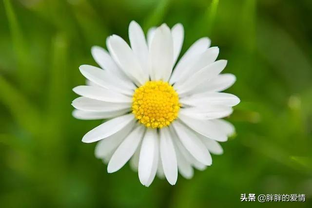 工作励志的句子 正能量（工作励志的句子 正能量感悟）