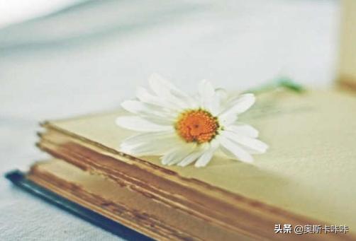 读书好处的佳句（读书好处的句子简短）
