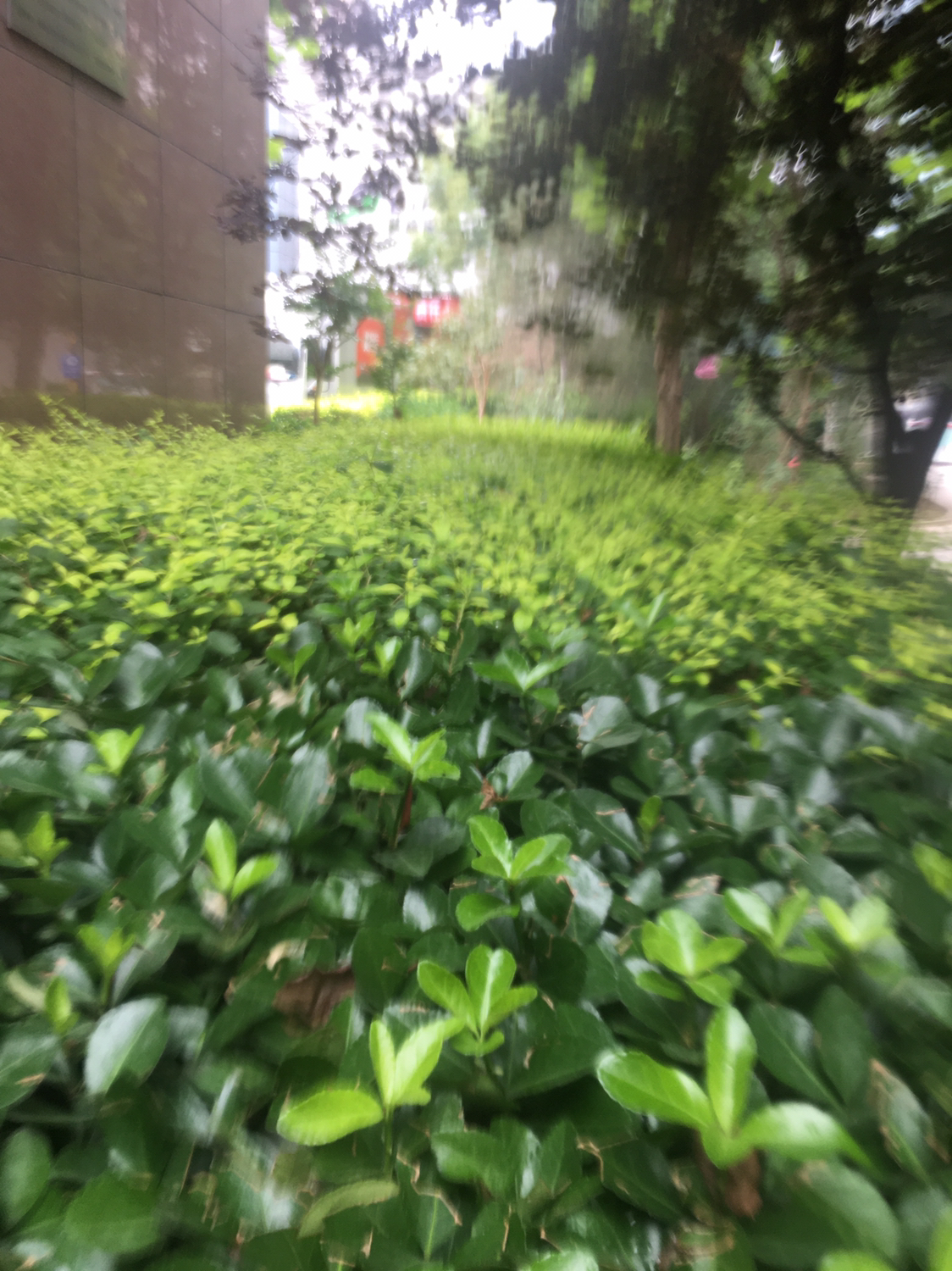 勤奋学习的名言（古代勤奋好学的名人故事）