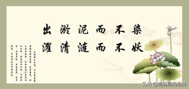 廉洁名言警句摘抄大全（廉洁 名句）